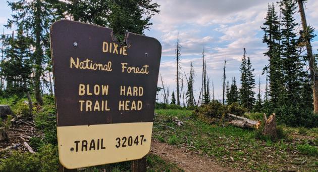 Blow Hard Trail Head