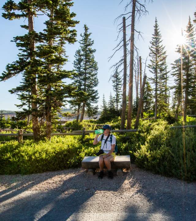 A person drinking from a teal water bottle sitting on a bench at Cedar Breaks National Monument with green vegetation and pine trees behind them